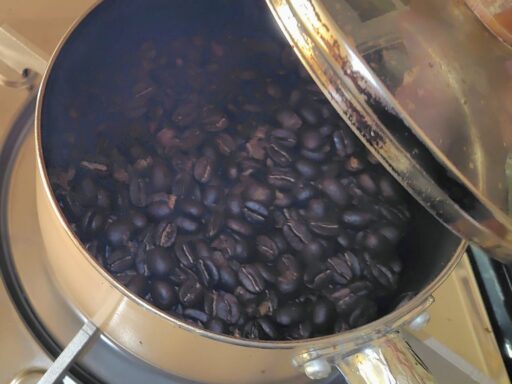 2ハゼすぐの豆の様子