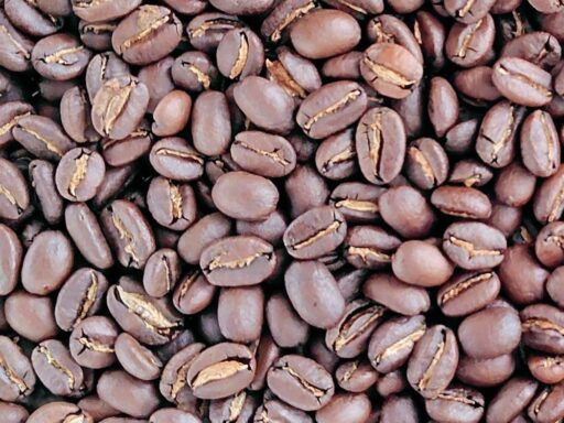 ウォッシュト精製（エチオピアＧ１イルガチェフ）