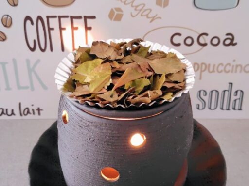 コーヒーノキの葉を茶皿に乗せた茶香炉